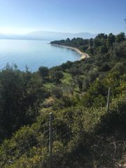 Οικόπεδο 2.000 τ.μ. για πώληση, Εύβοια, Λιχάδα-thumb-1