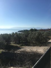Οικόπεδο 2.000 τ.μ. για πώληση, Εύβοια, Λιχάδα-thumb-3