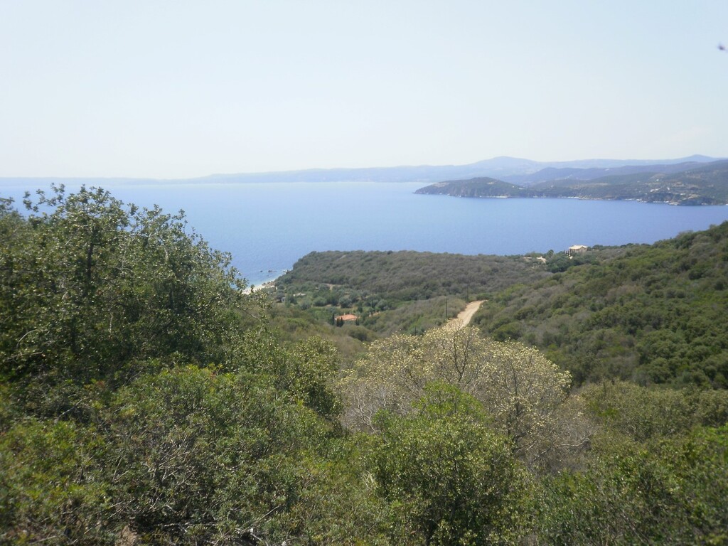 Οικόπεδο 6.070 τ.μ. προς πώληση, Άσσα