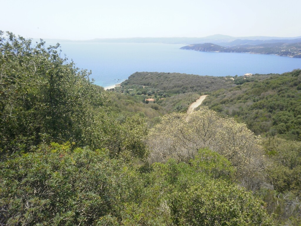 Οικόπεδο 6.070 τ.μ. προς πώληση, Άσσα