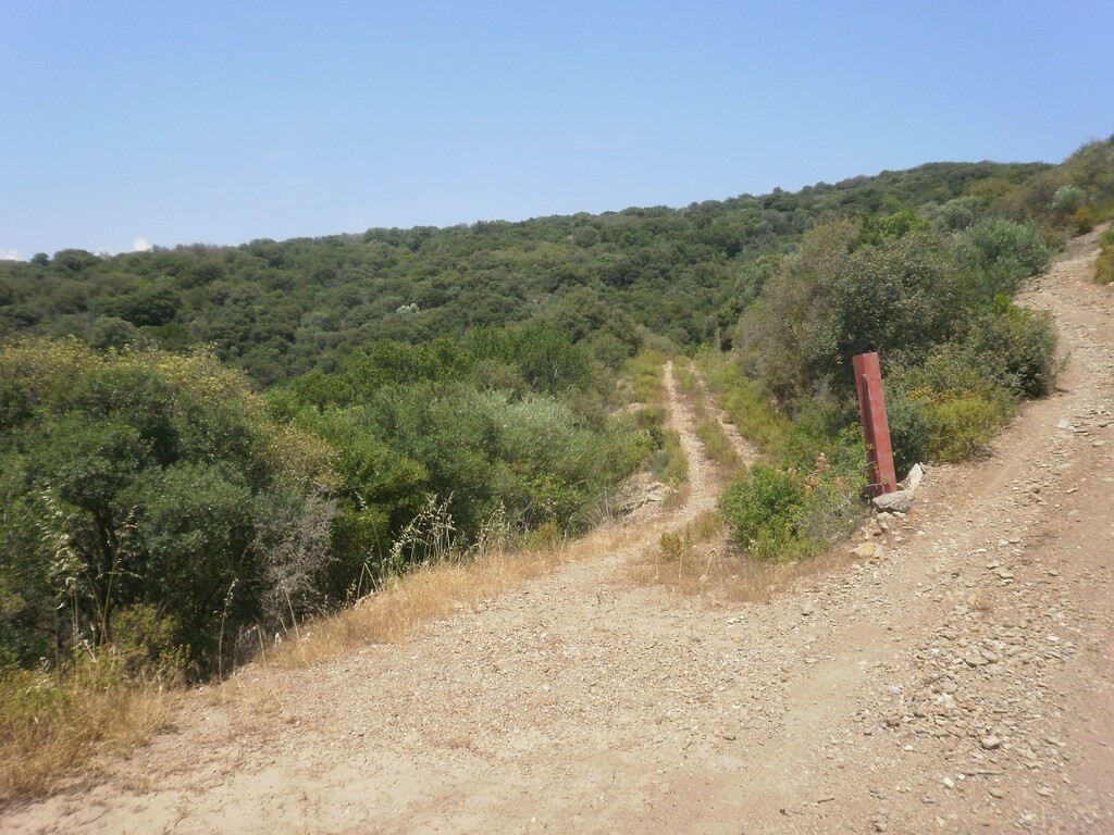 Οικόπεδο 6.070 τ.μ. προς πώληση, Άσσα