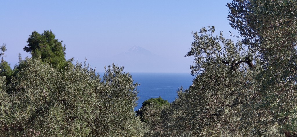 Οικόπεδο 9.000 τ.μ. προς πώληση, Άγιος Νικόλαος Σιθωνίας