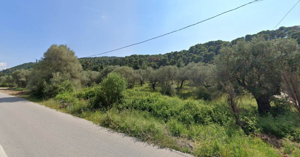 Οικόπεδο 4.100 τ.μ. προς πώληση, Γαλήνη Σιθωνίας
