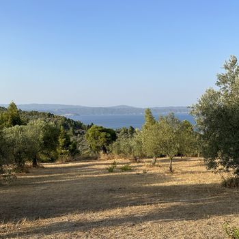 Οικόπεδο 2.700 τ.μ. προς πώληση