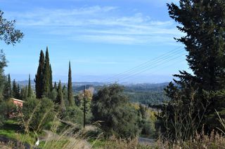 Οικόπεδο 4.150 τ.μ. για πώληση, Ν. Κέρκυρας, Κέρκυρα-thumb-1