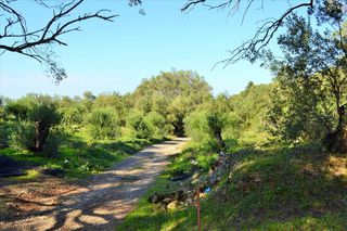 Οικόπεδο 7.606 τ.μ. για πώληση, Ν. Κέρκυρας, Κέρκυρα-thumb-25
