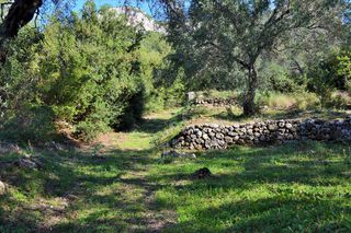 Οικόπεδο 7.606 τ.μ. για πώληση, Ν. Κέρκυρας, Κέρκυρα-thumb-7