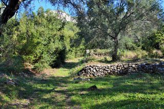 Οικόπεδο 7.606 τ.μ. για πώληση, Ν. Κέρκυρας, Κέρκυρα-thumb-8