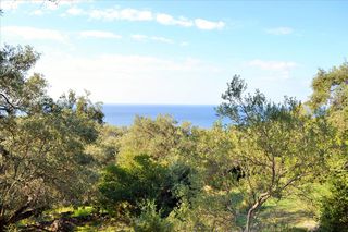 Οικόπεδο 7.606 τ.μ. για πώληση, Ν. Κέρκυρας, Κέρκυρα-thumb-18