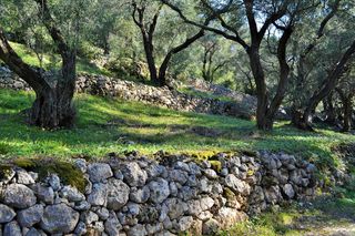 Οικόπεδο 7.606 τ.μ. για πώληση, Ν. Κέρκυρας, Κέρκυρα-thumb-4