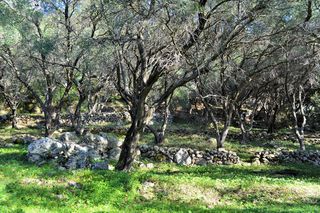 Οικόπεδο 7.606 τ.μ. για πώληση, Ν. Κέρκυρας, Κέρκυρα-thumb-21