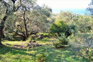 Οικόπεδο 7.606 τ.μ. για πώληση, Ν. Κέρκυρας, Κέρκυρα-thumb-19
