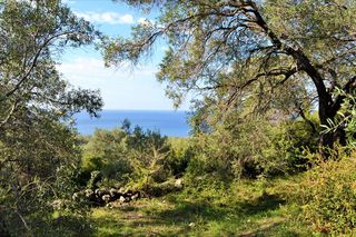 Οικόπεδο 7.606 τ.μ. για πώληση, Ν. Κέρκυρας, Κέρκυρα-thumb-1