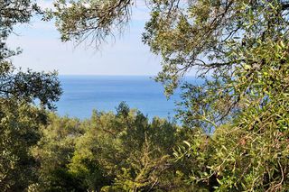 Οικόπεδο 7.606 τ.μ. για πώληση