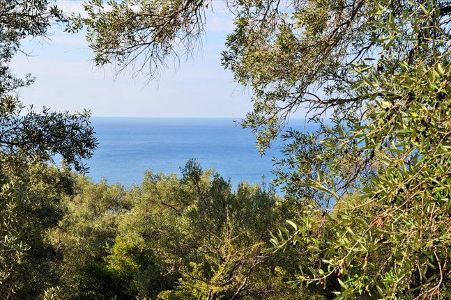 Οικόπεδο 7.606 τ.μ. για πώληση, Ν. Κέρκυρας, Κέρκυρα