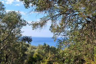 Οικόπεδο 7.606 τ.μ. για πώληση, Ν. Κέρκυρας, Κέρκυρα-thumb-15