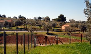 Οικόπεδο 41.575 τ.μ. για πώληση, Αργολίδα, Κρανίδι-thumb-2