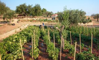 Οικόπεδο 41.575 τ.μ. για πώληση, Αργολίδα, Κρανίδι-thumb-6