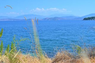 Οικόπεδο 7.700 τ.μ. για πώληση, Ν. Κέρκυρας, Κέρκυρα-thumb-1