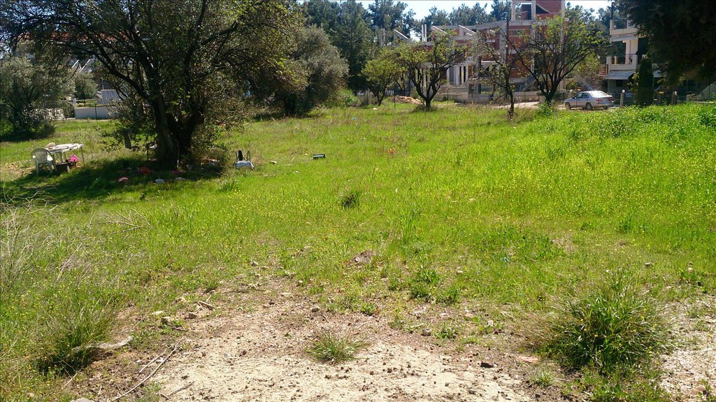 Οικόπεδο 835 τ.μ. προς πώληση, Καλύβες Πολυγύρου