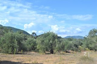 Οικόπεδο 4.000 τ.μ. για πώληση, Ν. Κέρκυρας, Κέρκυρα-thumb-1