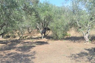 Οικόπεδο 4.000 τ.μ. για πώληση, Ν. Κέρκυρας, Κέρκυρα-thumb-2