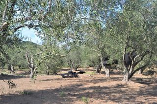 Οικόπεδο 4.000 τ.μ. για πώληση, Ν. Κέρκυρας, Κέρκυρα-thumb-4
