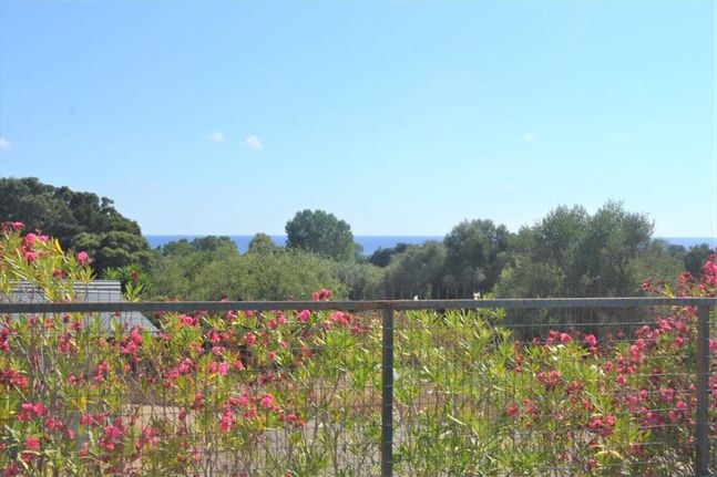 Land plot 4.000 sqm for sale, Corfu Prefecture, Corfu