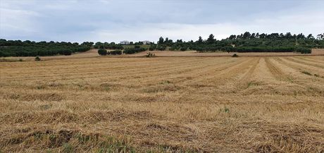 Οικόπεδο 9.900 τ.μ. για πώληση