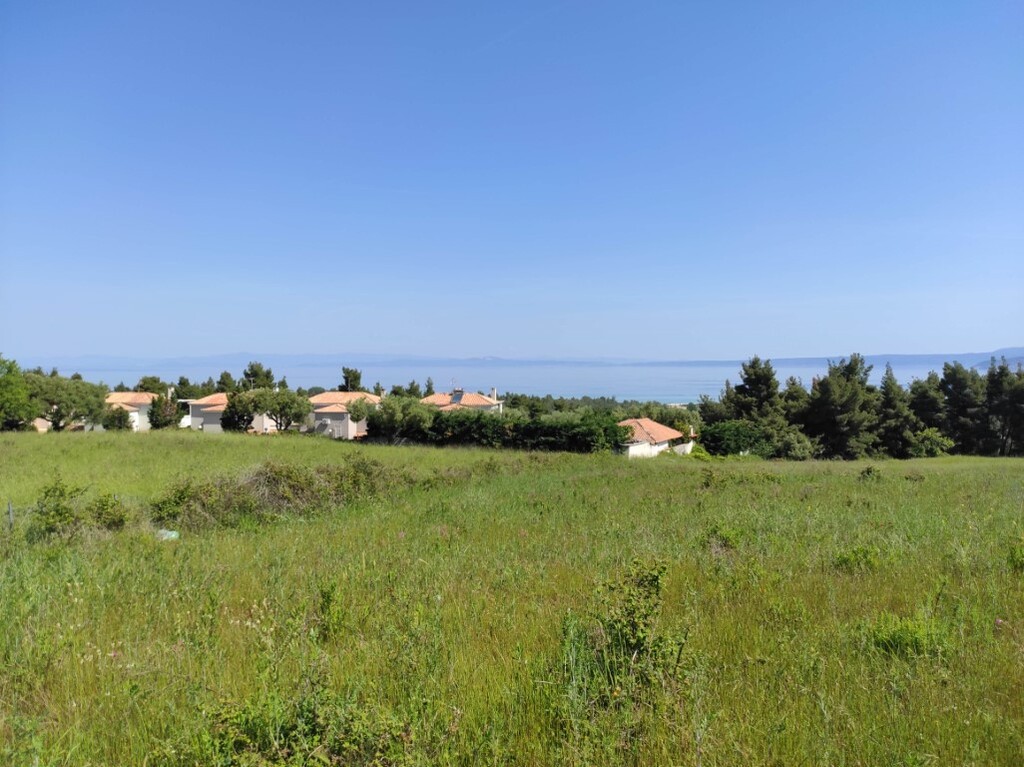 Οικόπεδο 4.218 τ.μ. προς πώληση, Παλιούρι Παλλήνης