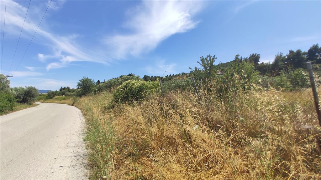 Οικόπεδο 20.000 τ.μ. προς πώληση, Άγιος Νικόλαος Σιθωνίας