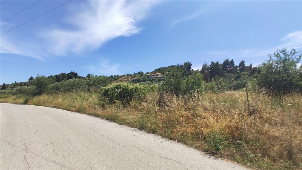 Οικόπεδο 20.000 τ.μ. προς πώληση, Άγιος Νικόλαος Σιθωνίας