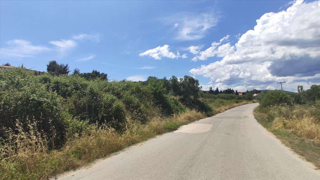 Οικόπεδο 20.000 τ.μ. προς πώληση, Άγιος Νικόλαος Σιθωνίας