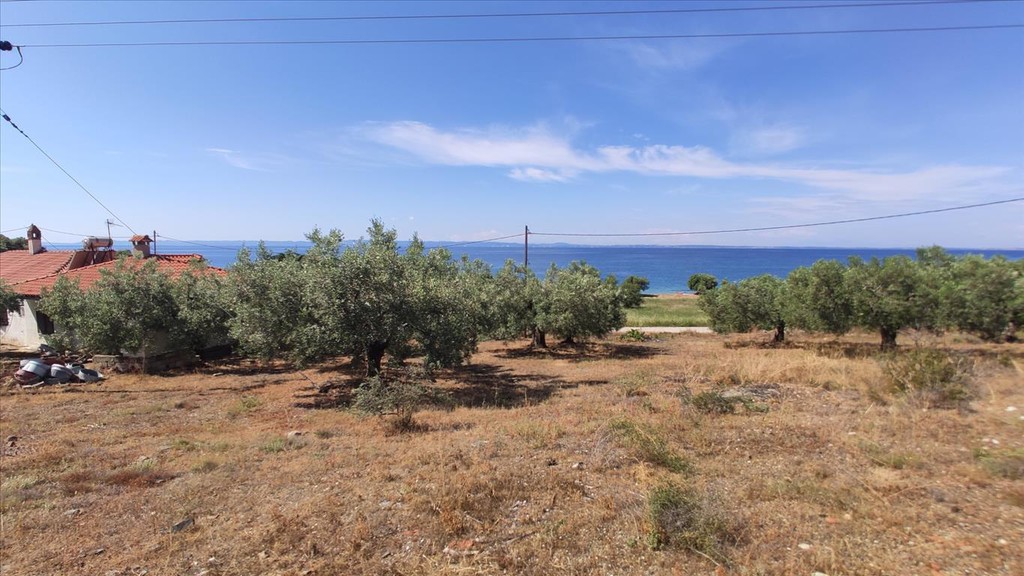 Οικόπεδο 13.750 τ.μ. προς πώληση, Βατοπέδι