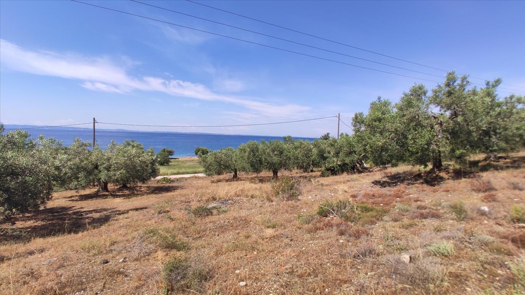 Οικόπεδο 13.750 τ.μ. προς πώληση, Βατοπέδι