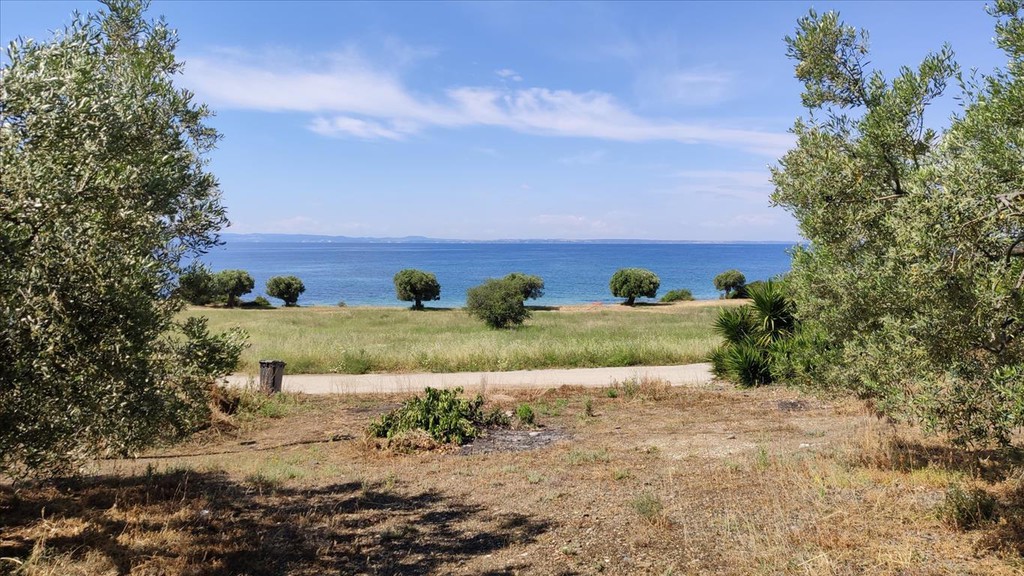 Οικόπεδο 13.750 τ.μ. προς πώληση, Βατοπέδι