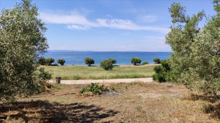Οικόπεδο 13.750 τ.μ. για πώληση