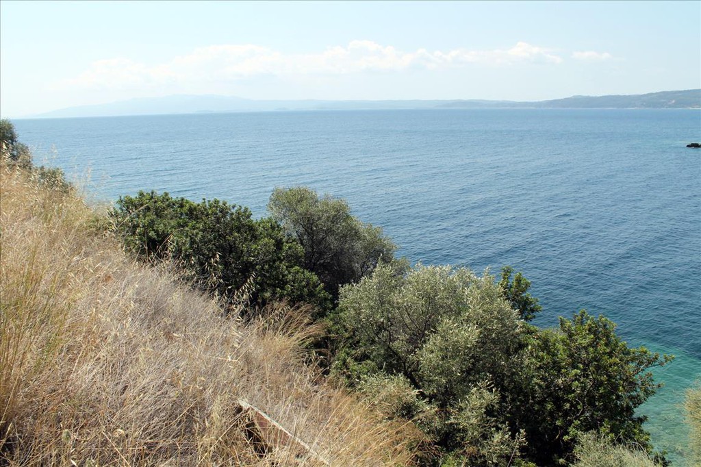 Οικόπεδο 16.500 τ.μ. προς πώληση, Πυργαδίκια