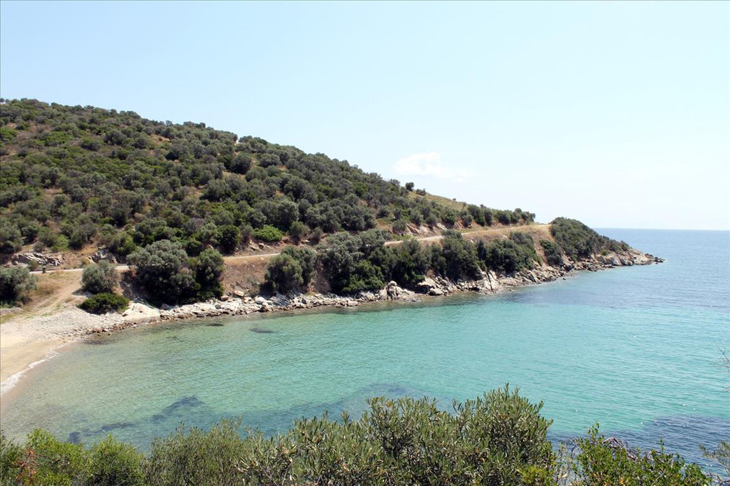 Οικόπεδο 16.500 τ.μ. προς πώληση, Πυργαδίκια