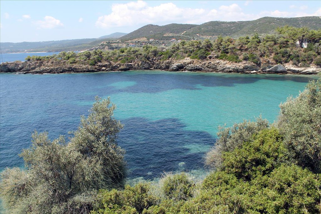 Οικόπεδο 16.500 τ.μ. προς πώληση, Πυργαδίκια