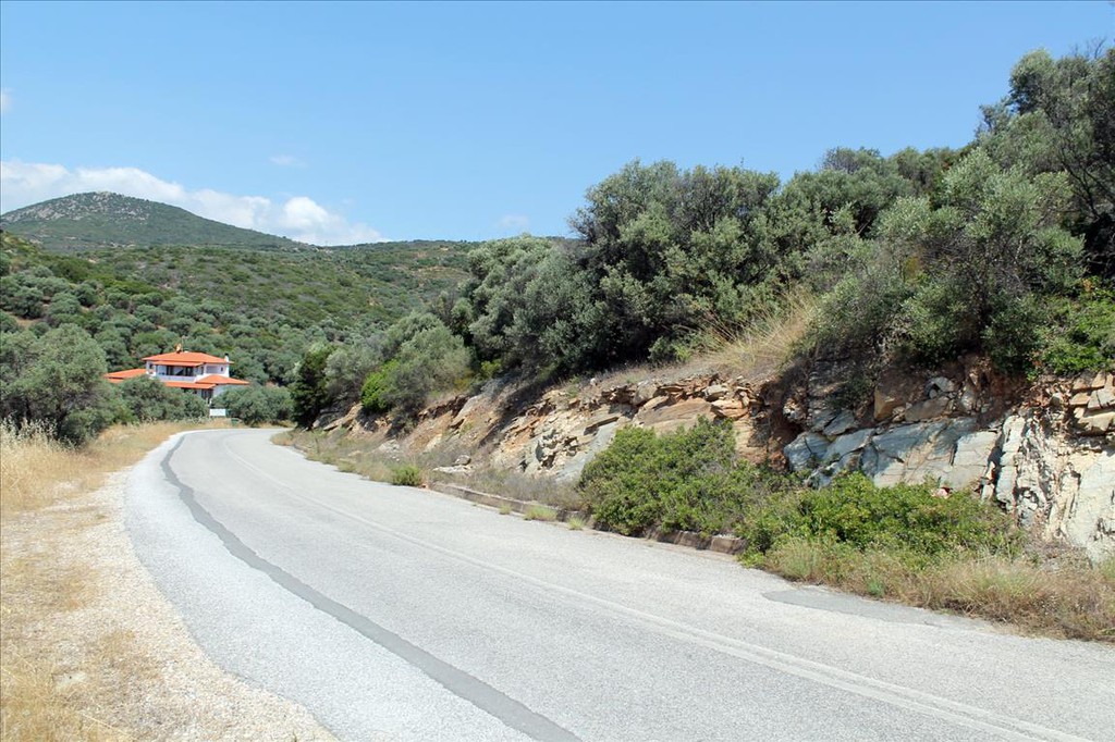 Οικόπεδο 16.500 τ.μ. προς πώληση, Πυργαδίκια