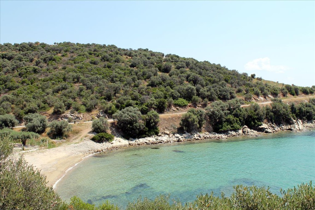 Οικόπεδο 16.500 τ.μ. προς πώληση, Πυργαδίκια