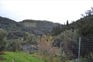 Οικόπεδο 30.000 τ.μ. για πώληση, Ν. Κέρκυρας, Κέρκυρα-thumb-1