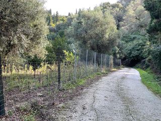 Οικόπεδο 3.000 τ.μ. για πώληση, Ν. Κέρκυρας, Κέρκυρα-thumb-6