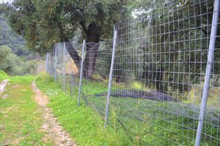 Οικόπεδο 3.000 τ.μ. για πώληση, Ν. Κέρκυρας, Κέρκυρα-thumb-3