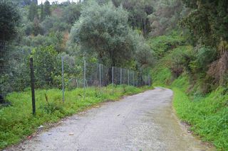 Οικόπεδο 3.000 τ.μ. για πώληση, Ν. Κέρκυρας, Κέρκυρα-thumb-7