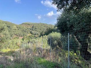 Οικόπεδο 3.000 τ.μ. για πώληση, Ν. Κέρκυρας, Κέρκυρα-thumb-10