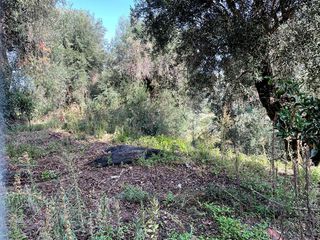 Οικόπεδο 3.000 τ.μ. για πώληση, Ν. Κέρκυρας, Κέρκυρα-thumb-13