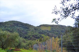 Οικόπεδο 3.000 τ.μ. για πώληση, Ν. Κέρκυρας, Κέρκυρα-thumb-14