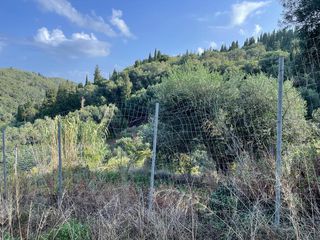 Οικόπεδο 3.000 τ.μ. για πώληση, Ν. Κέρκυρας, Κέρκυρα-thumb-8